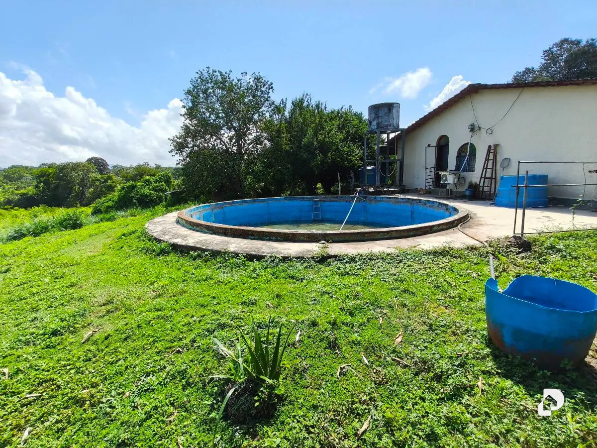 Finca en Barranca Amarilla – 3