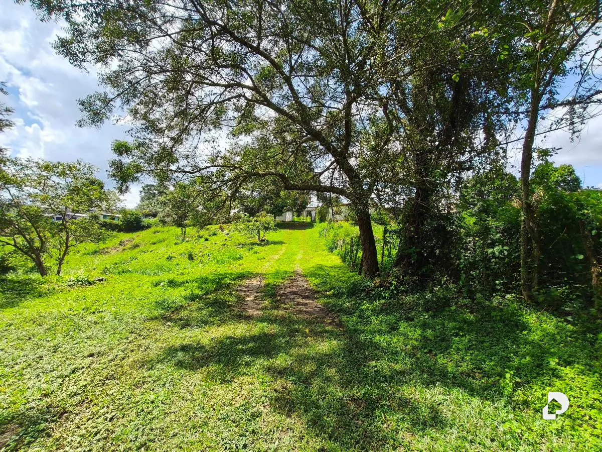 Finca en Barranca Amarilla – 9
