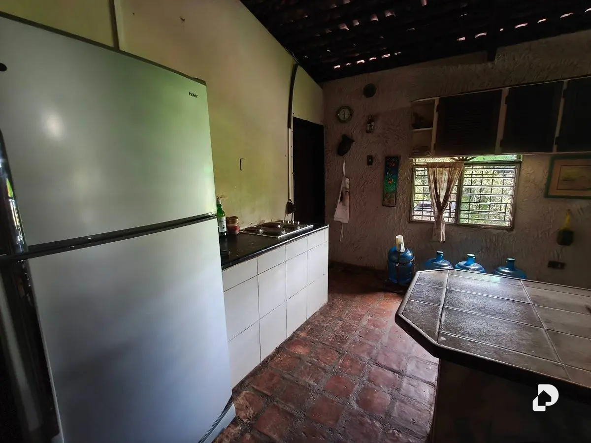 Finca en Barranca Amarilla – 25