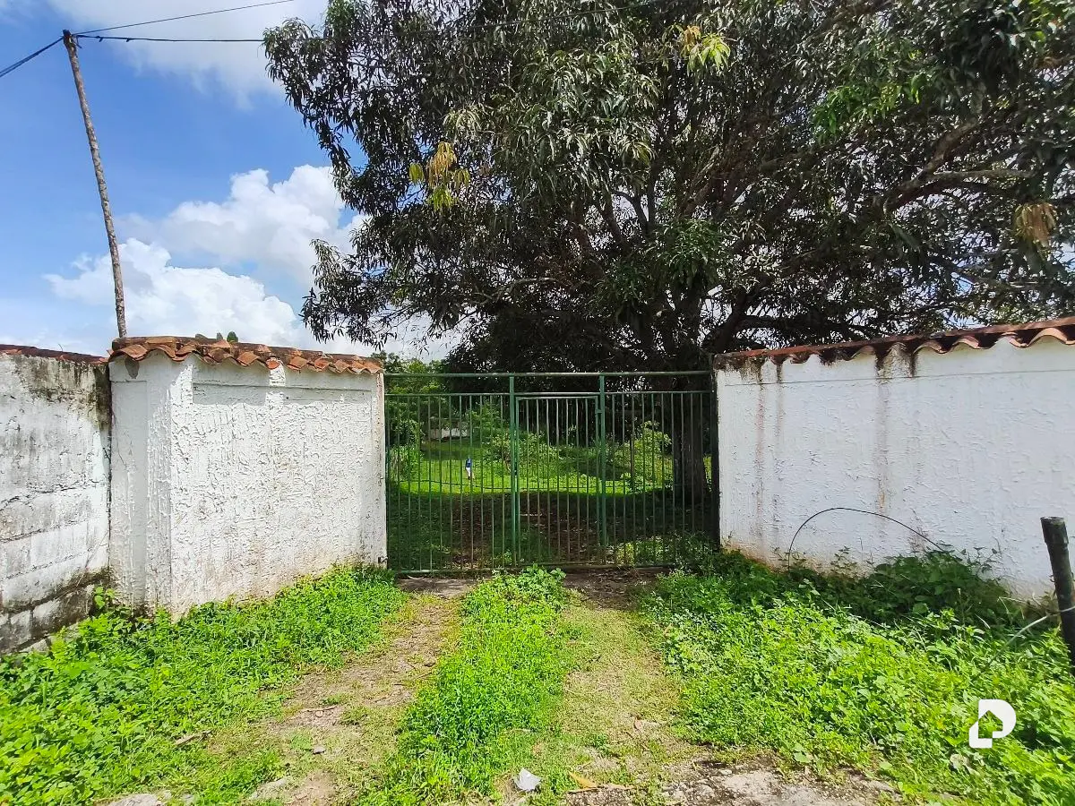 Finca en Barranca Amarilla – 2