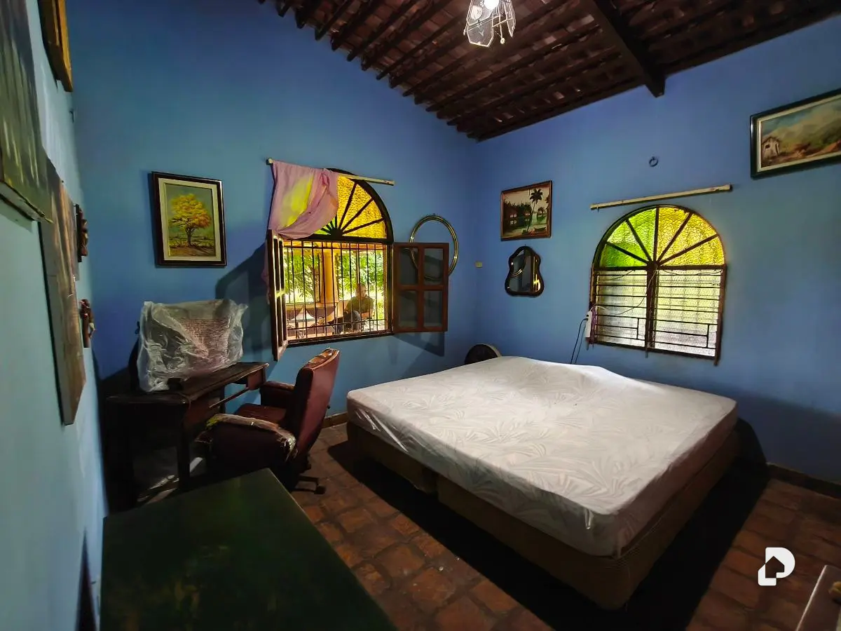 Finca en Barranca Amarilla – 22