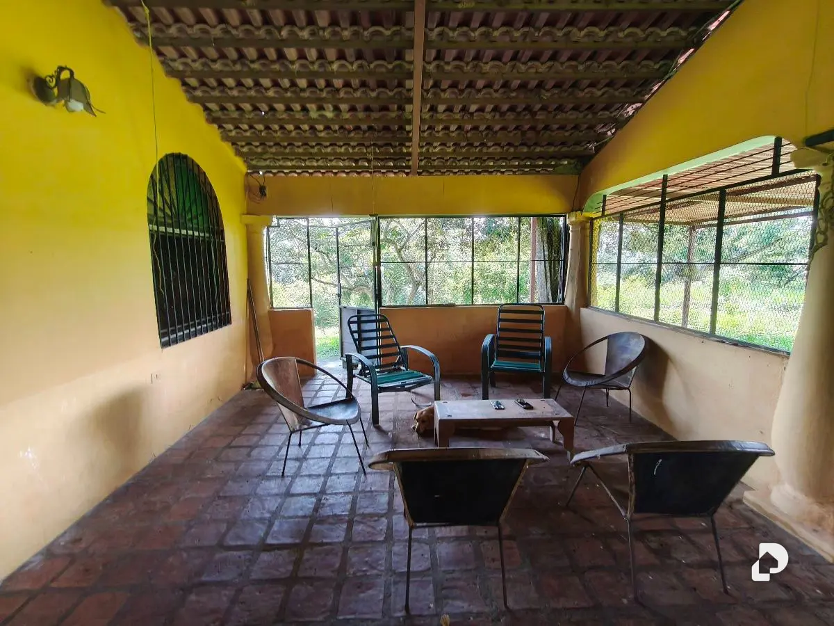 Finca en Barranca Amarilla – 29