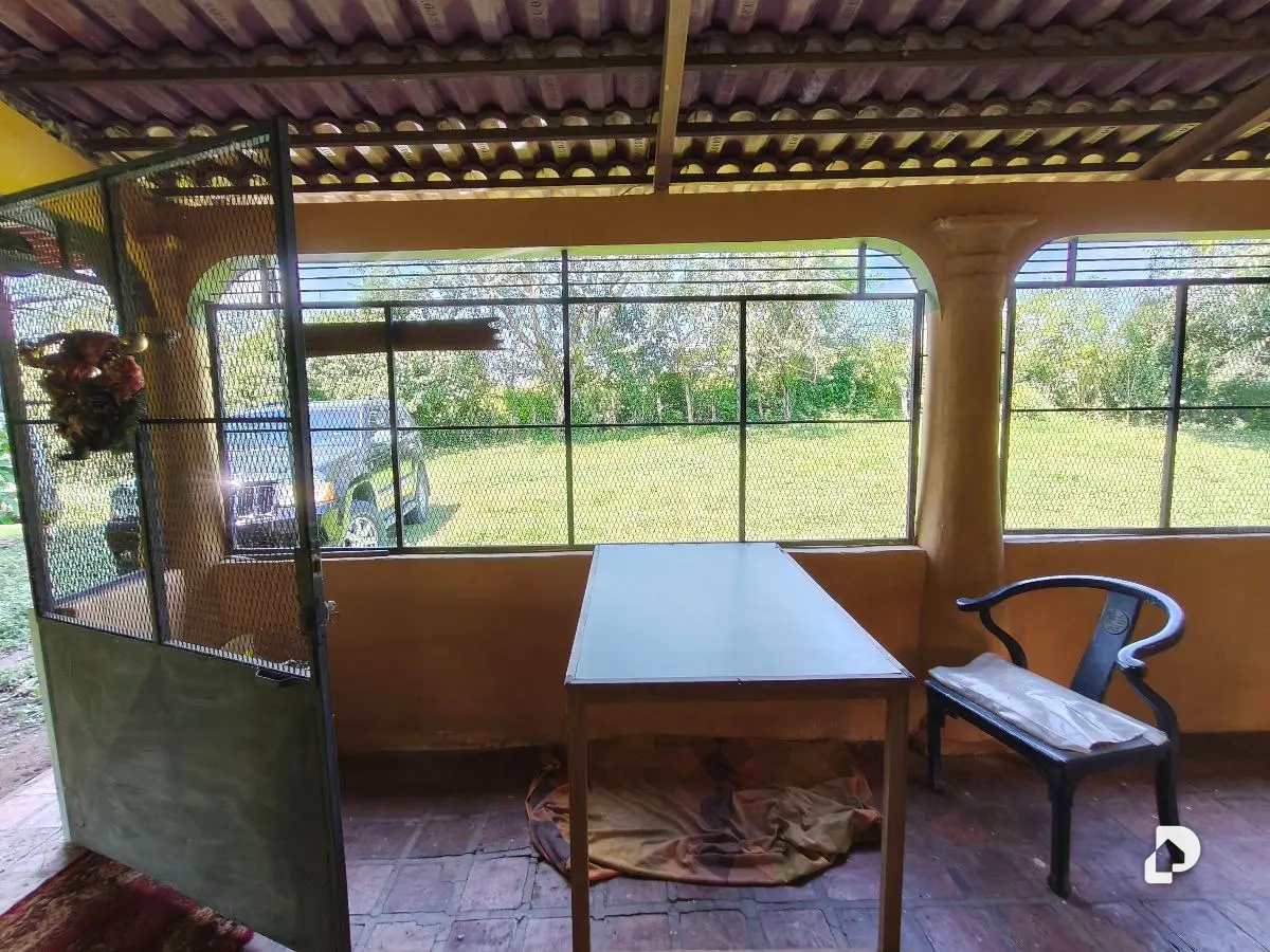 Finca en Barranca Amarilla – 30