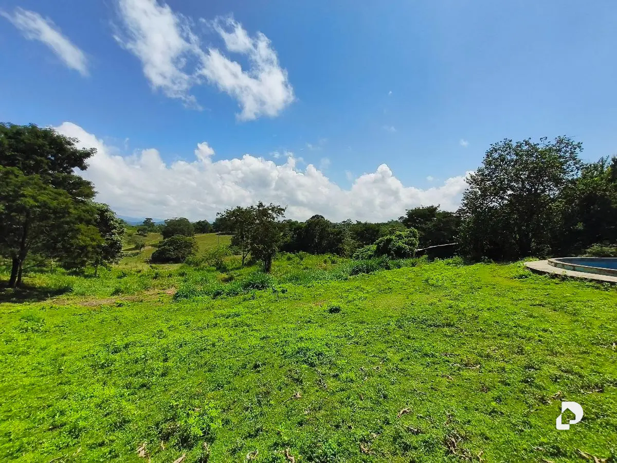Finca en Barranca Amarilla – 4