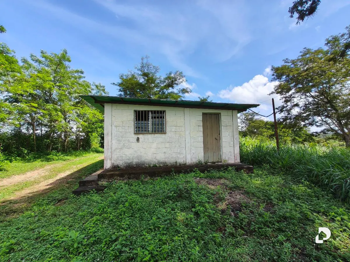 Finca en Barranca Amarilla – 16