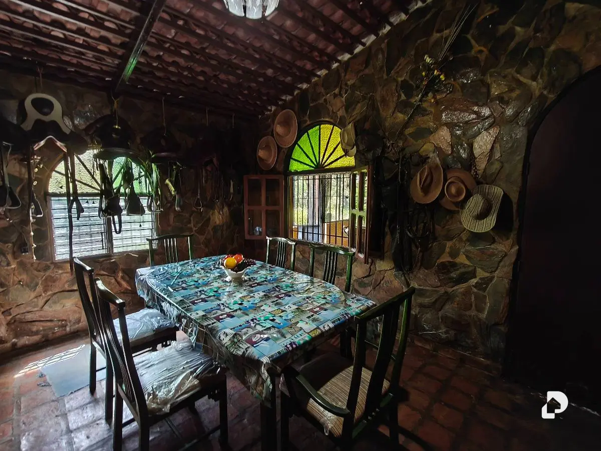 Finca en Barranca Amarilla – 26