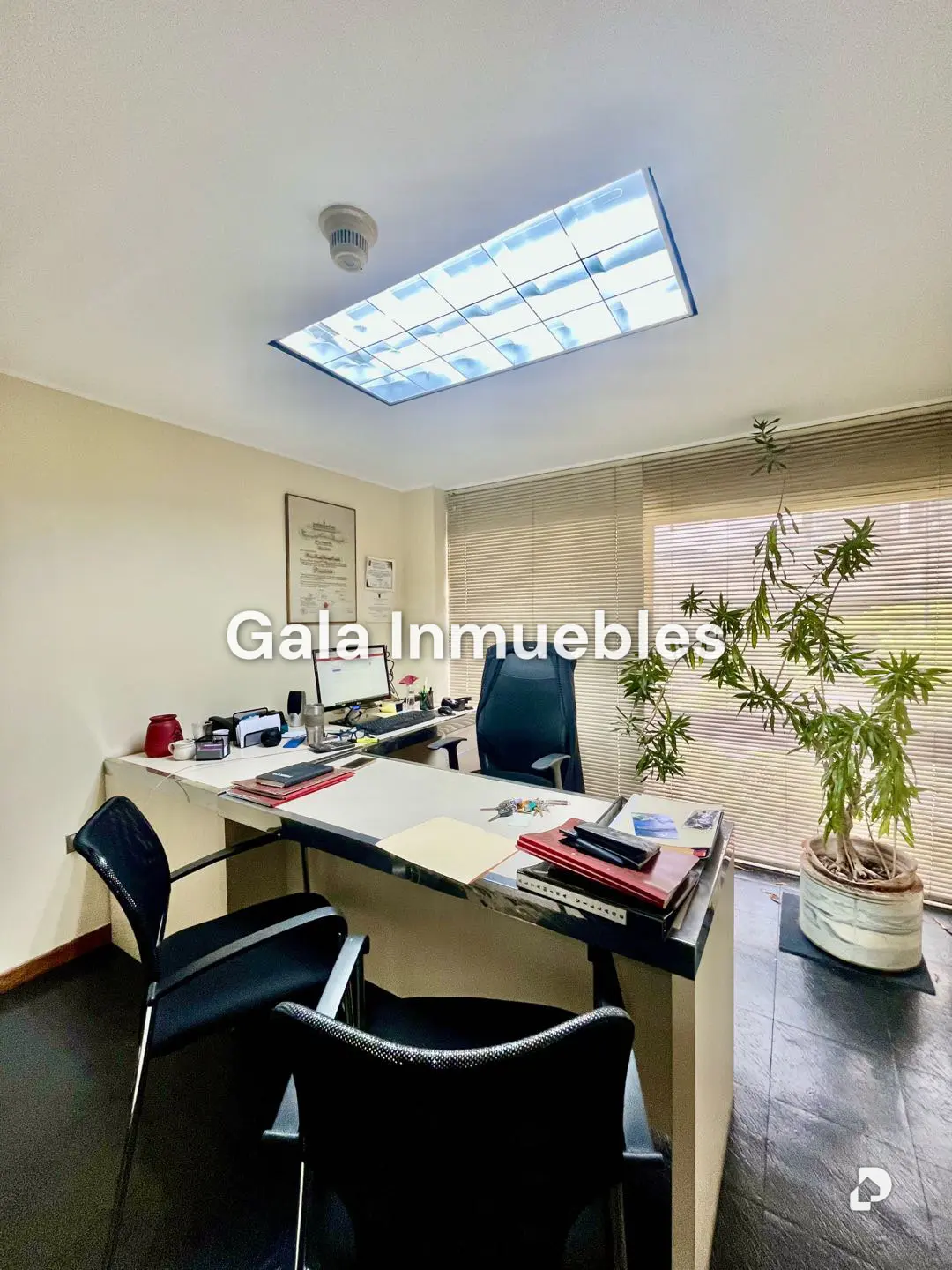 Office in Parque Humboldt, Caracas – 3