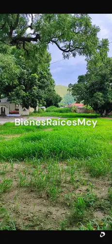 Terreno en Maracay – 11