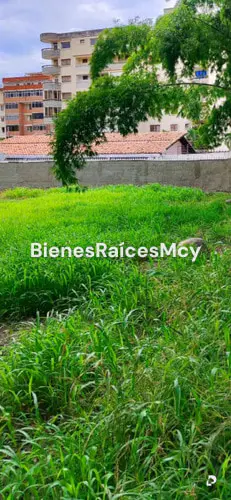 Terreno en Maracay – 16