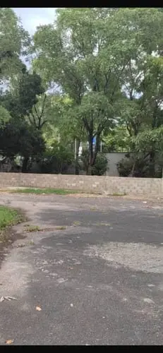Terreno en Maracay - 1