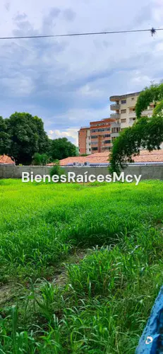 Terreno en Maracay – 14