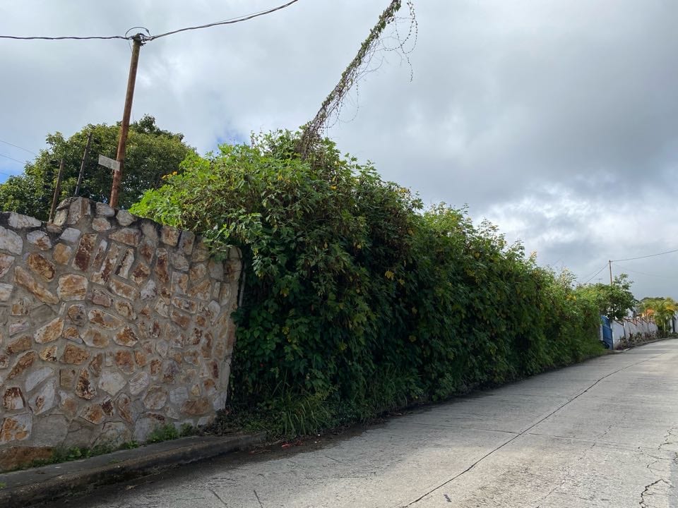 Terreno en Las Marías, Caracas - 1