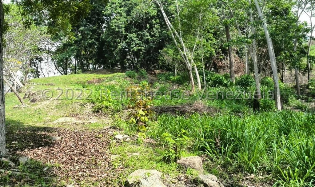 Terreno en Naguanagua - 1