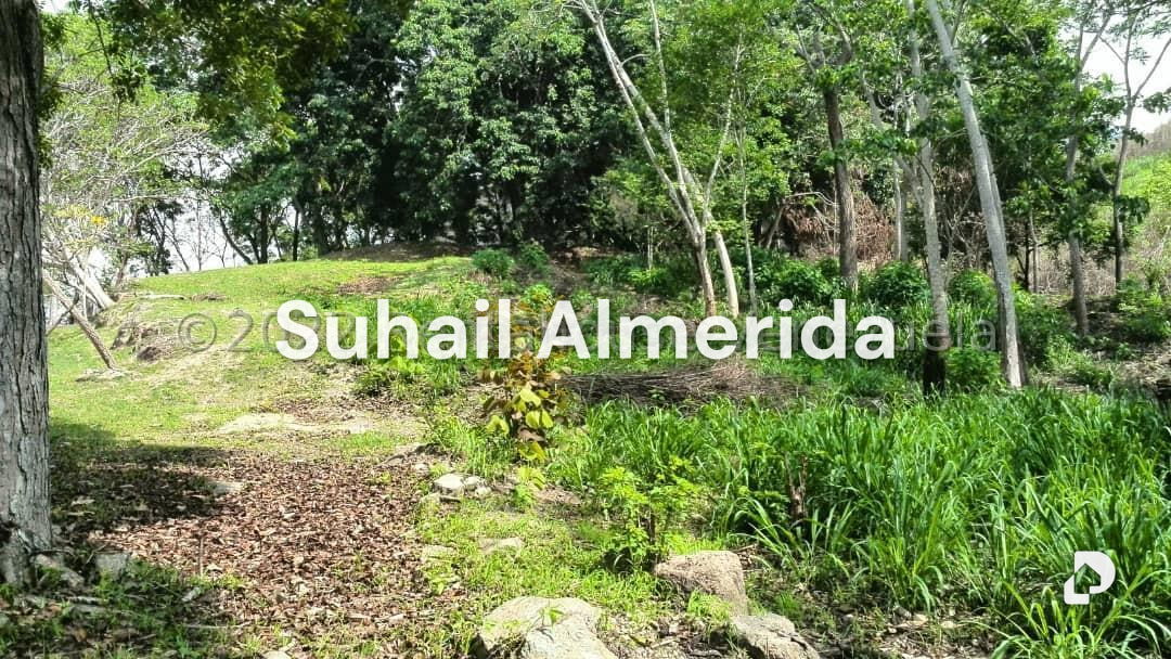 Terreno en Carialinda, Naguanagua – 1