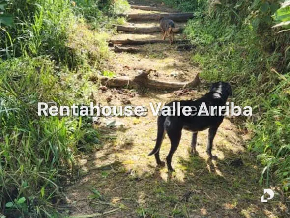 Terreno en Gavilan, Caracas – 4
