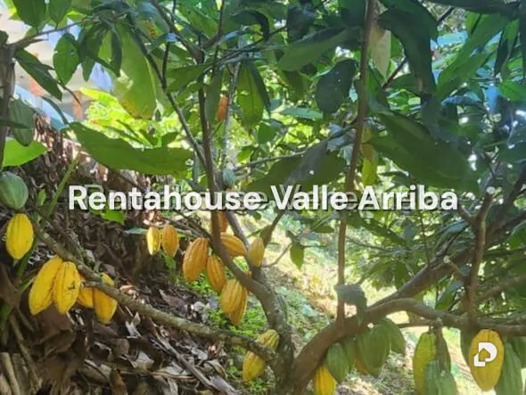 Terreno en Gavilan, Caracas – 13