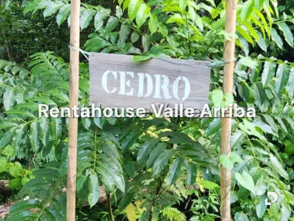 Terreno en Gavilan, Caracas – 8