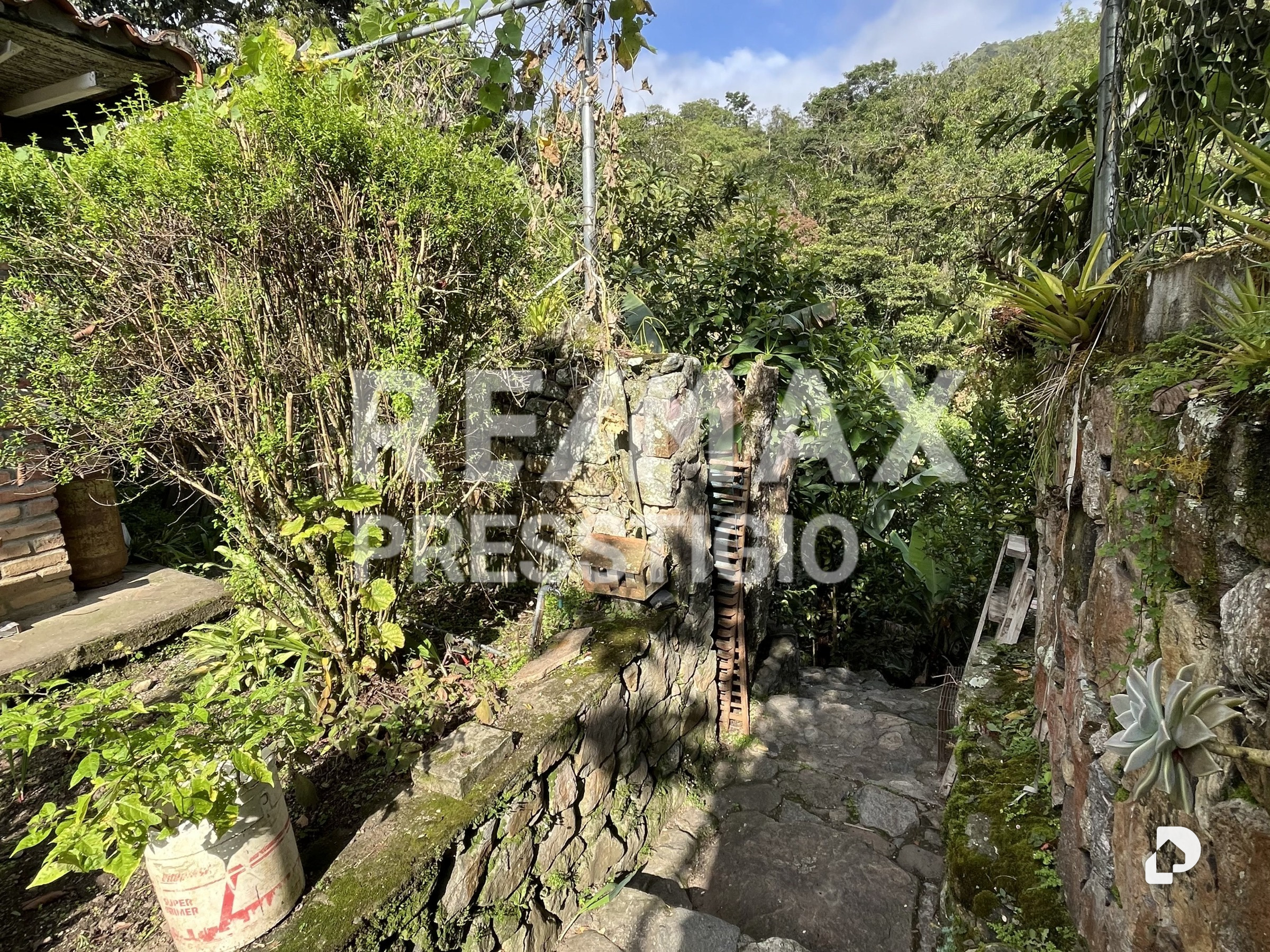 House in Parroquia Matríz, Manzano Alto – 9