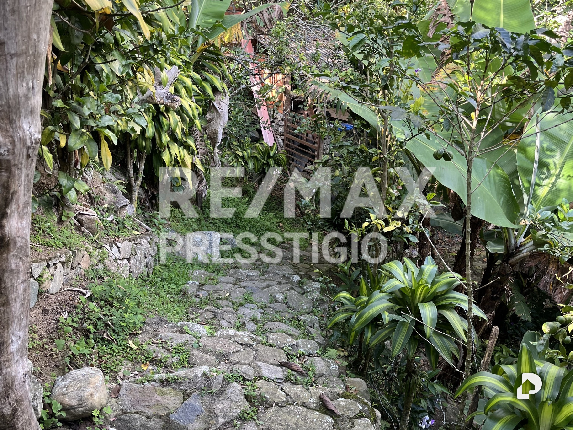 House in Parroquia Matríz, Manzano Alto – 10