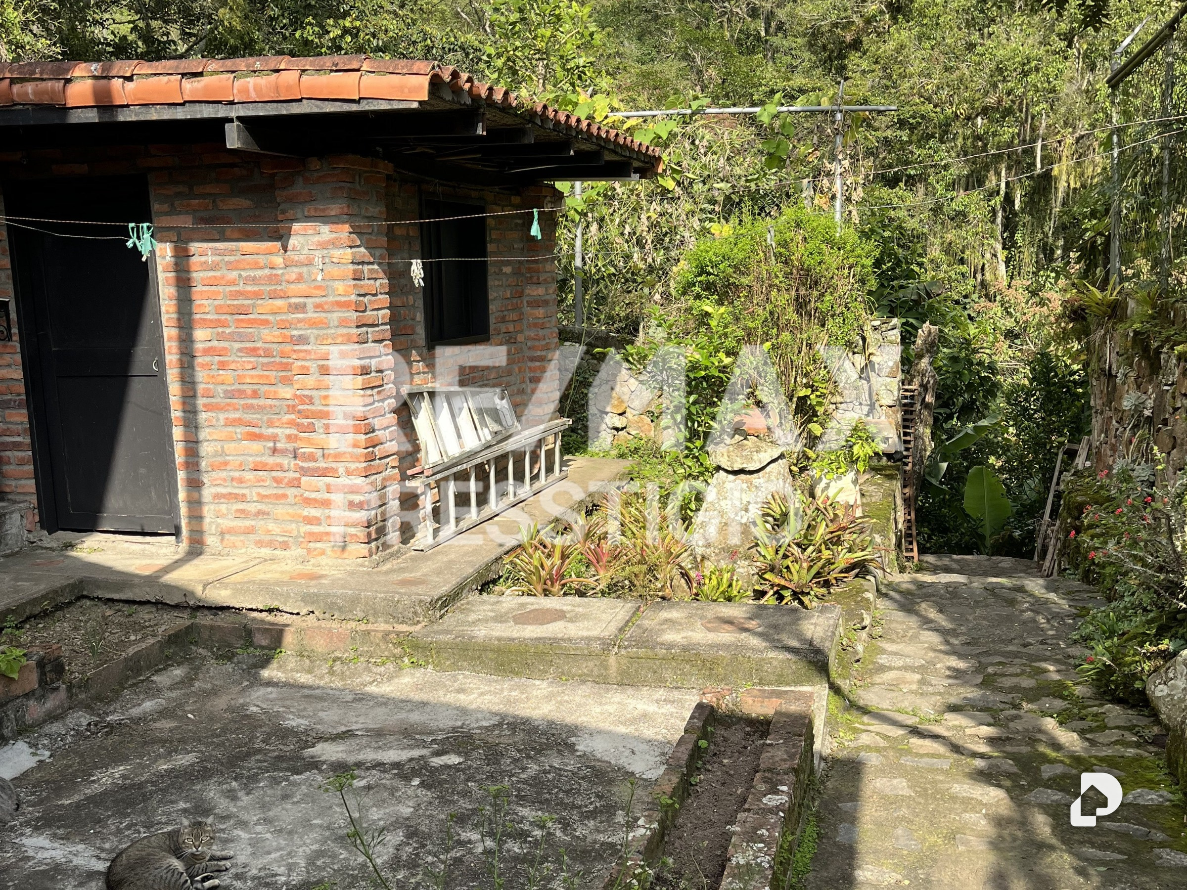 House in Parroquia Matríz, Manzano Alto – 8