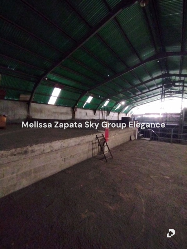 Warehouse in Barquisimeto – 3