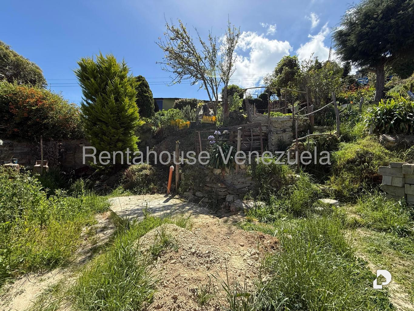 Local comercial en Galipan, Caracas – 16