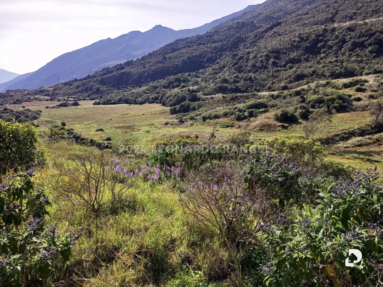 Finca en Las Tapias, Santo Domingo – 17