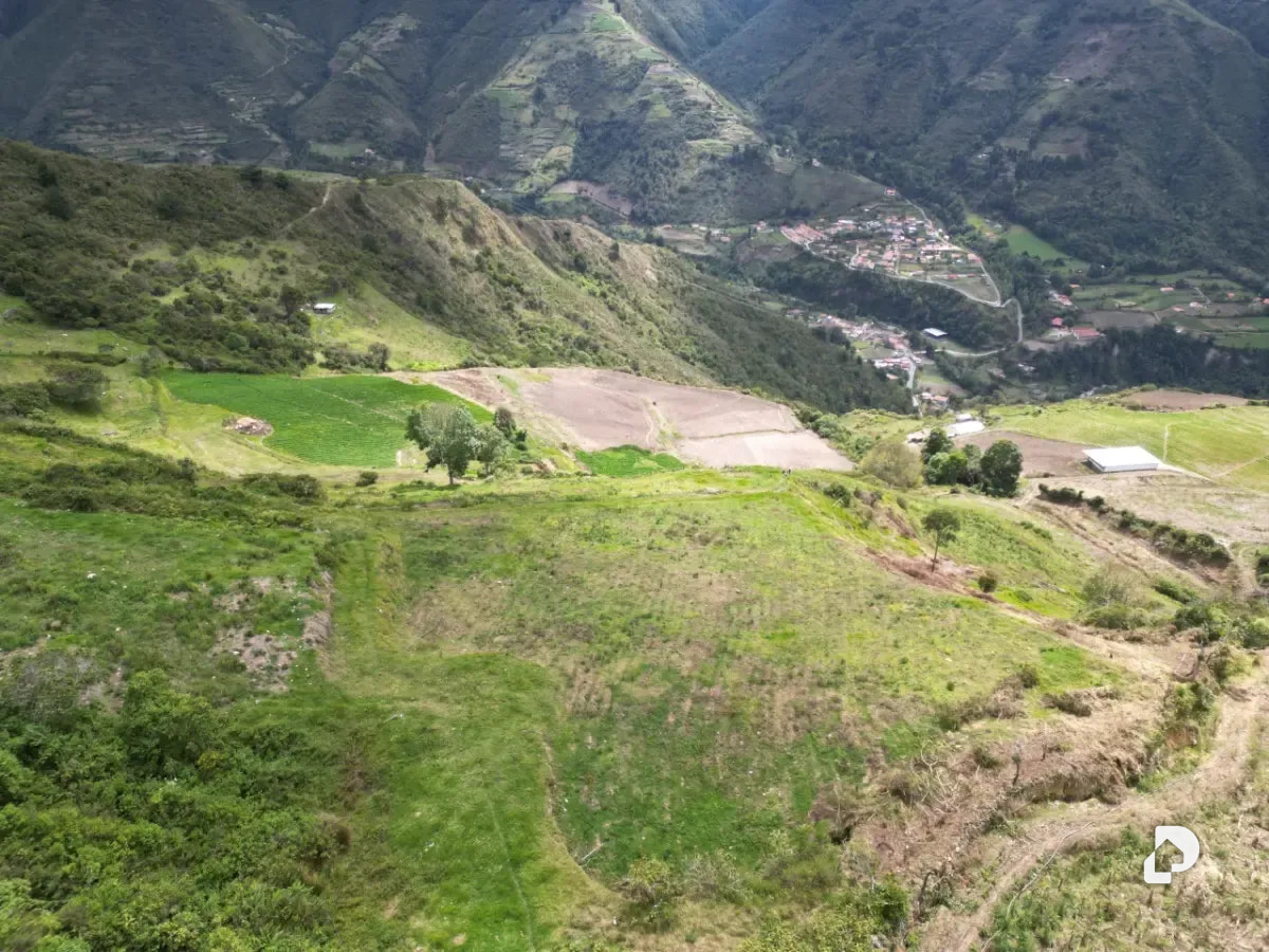 Farm in Cacute Alto, Cacute – 10