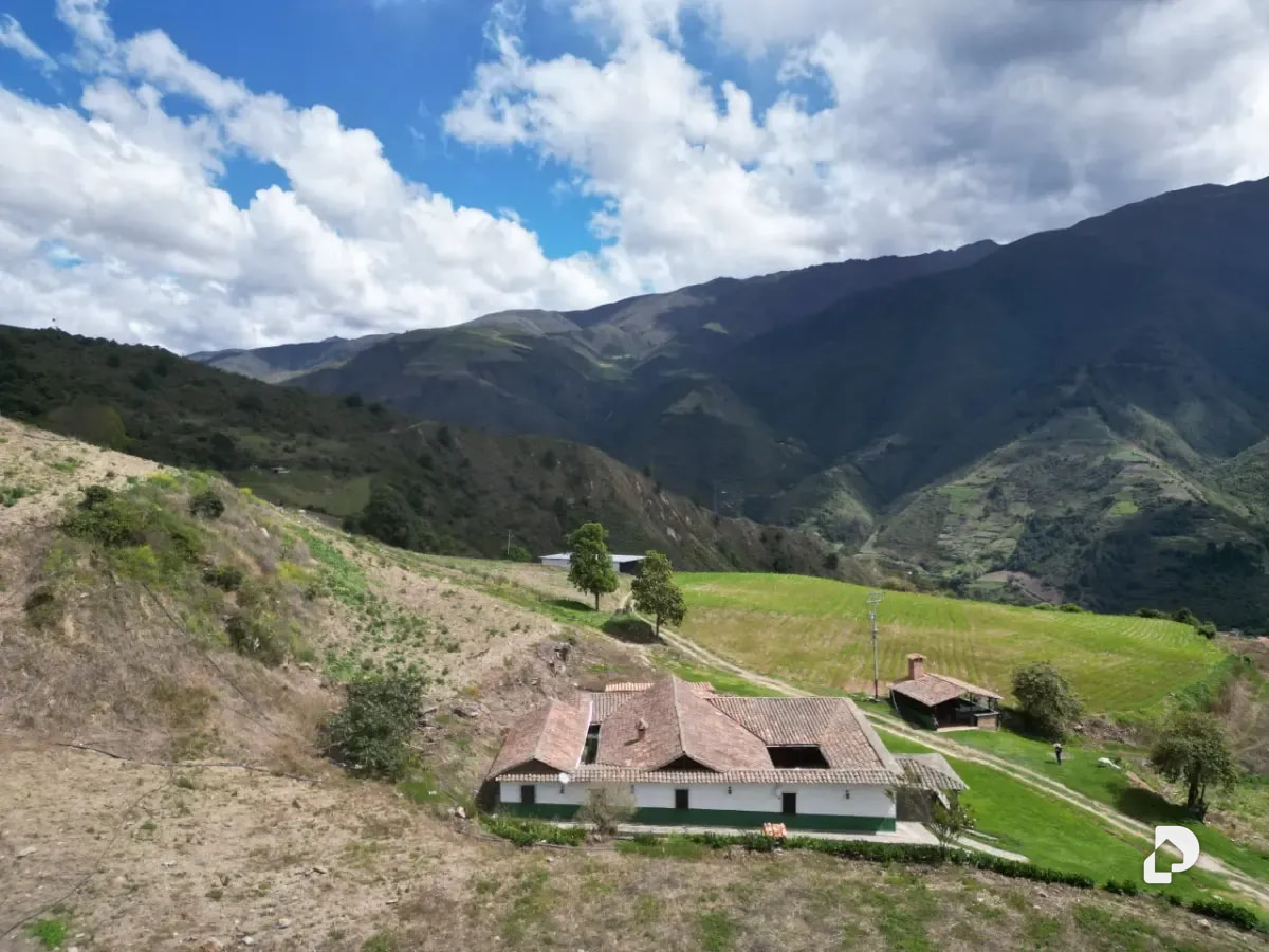Farm in Cacute Alto, Cacute – 1
