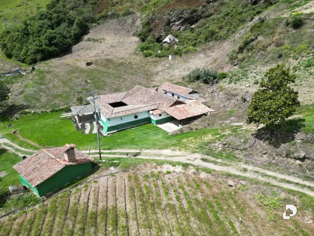 Farm in Cacute Alto, Cacute – 2