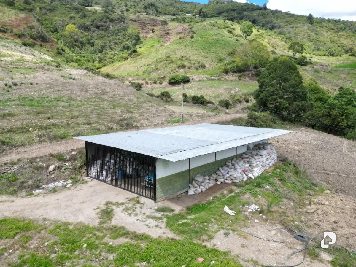 Farm in Cacute Alto, Cacute – 5