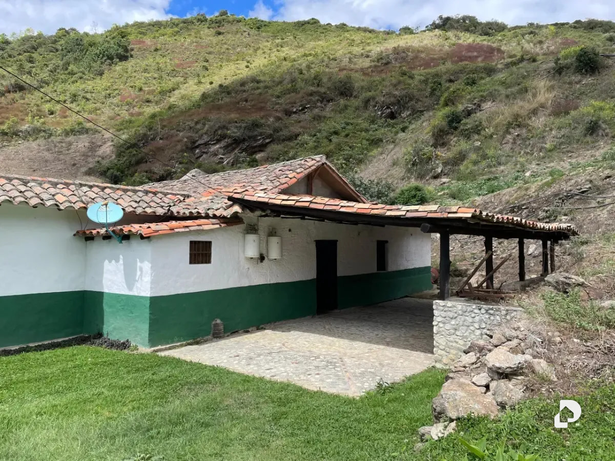 Farm in Cacute Alto, Cacute – 13