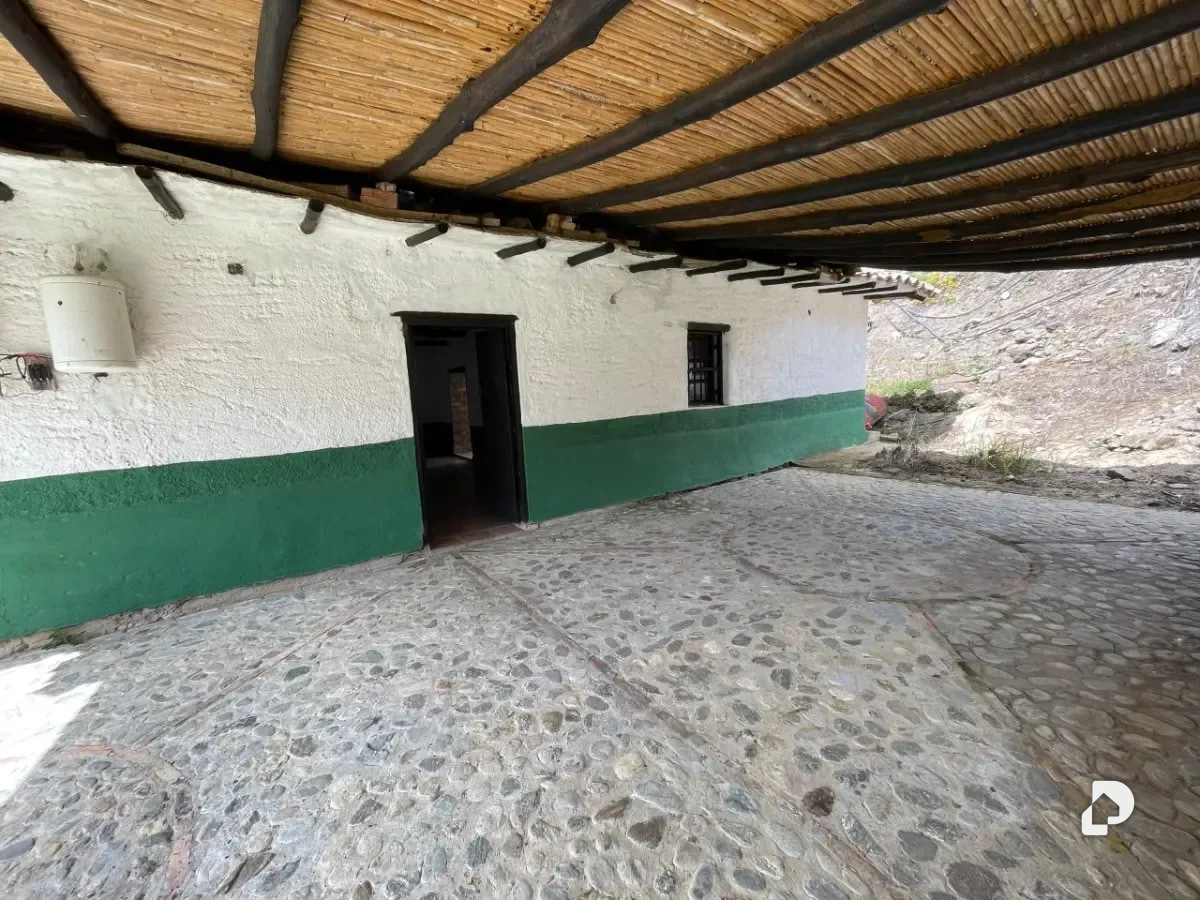Farm in Cacute Alto, Cacute – 14