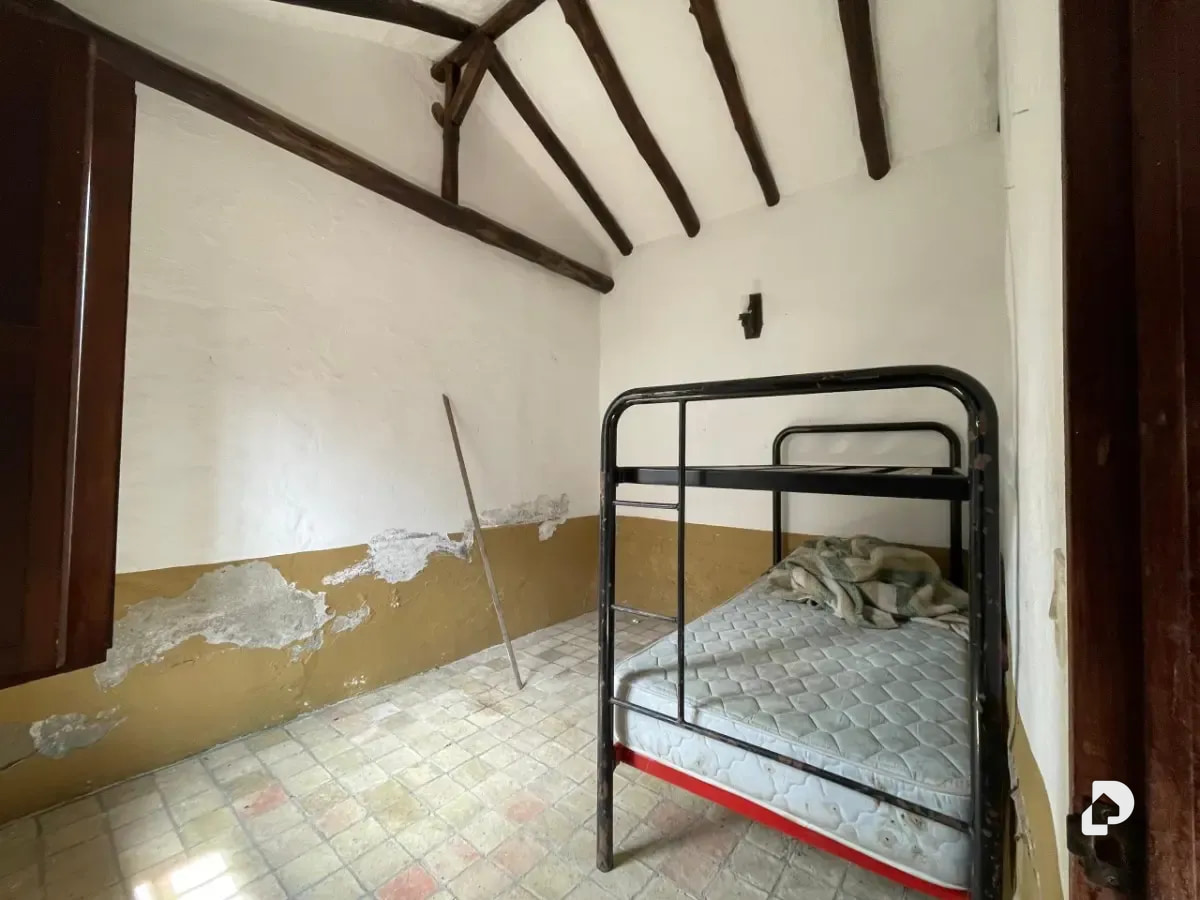 Farm in Cacute Alto, Cacute – 19
