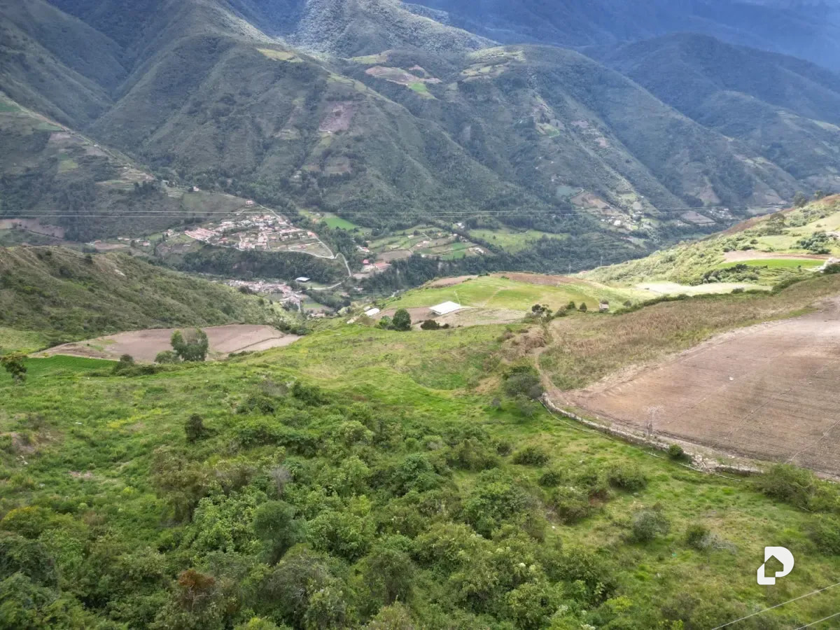 Farm in Cacute Alto, Cacute – 9