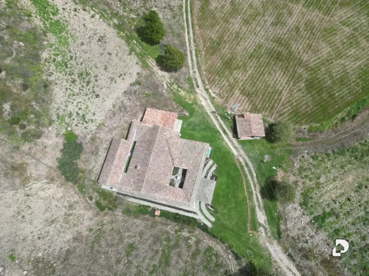Farm in Cacute Alto, Cacute – 4