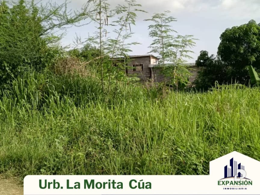 Terreno en Cúa – 7