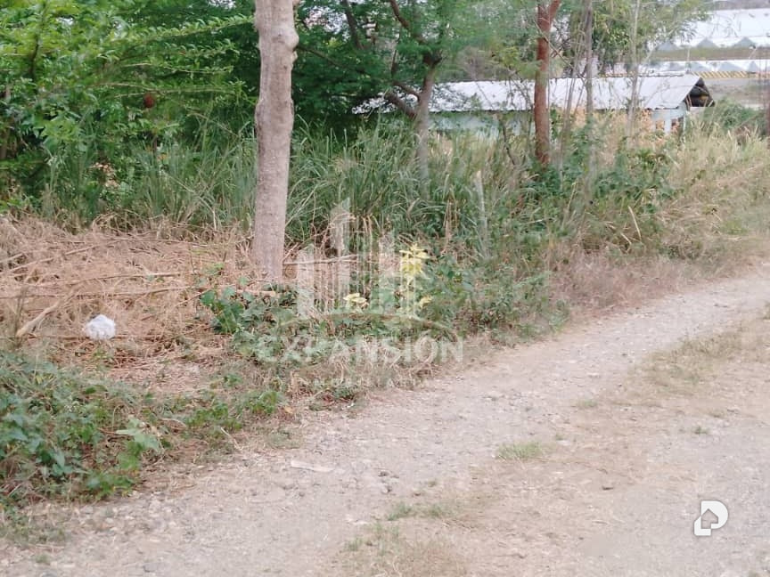 Terreno en Cúa – 4