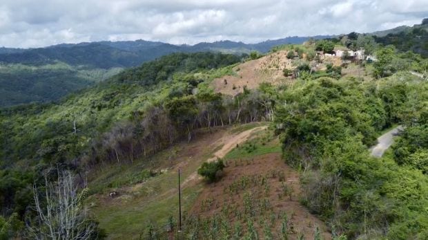 Terreno en Mampote, Guarenas - 1