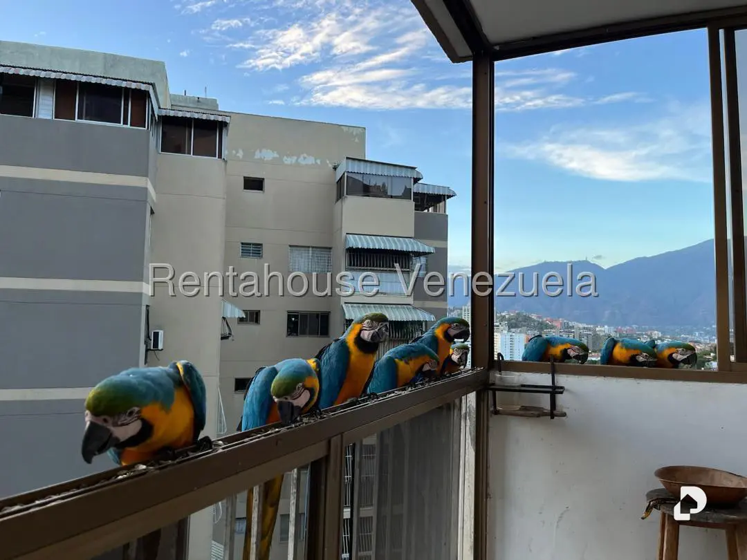 Apartamento en Terrazas del Club Hípico, Caracas – 7