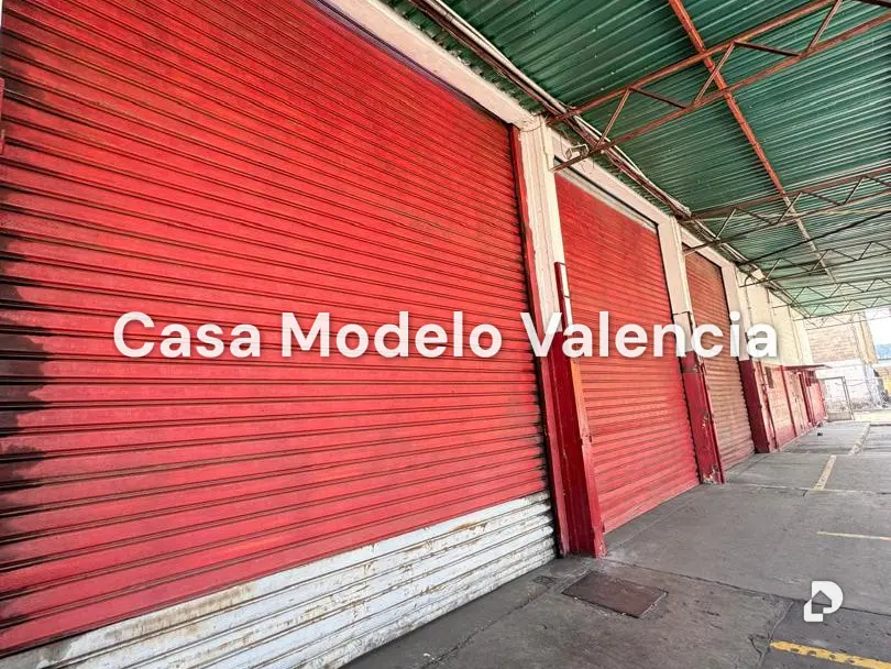 Galpón en Zona Industrial, Valencia – 18