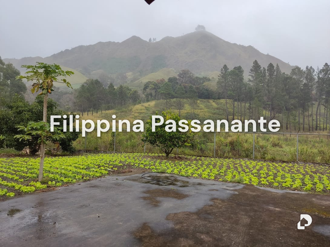 Casa en La Guanota, Caripe – 13