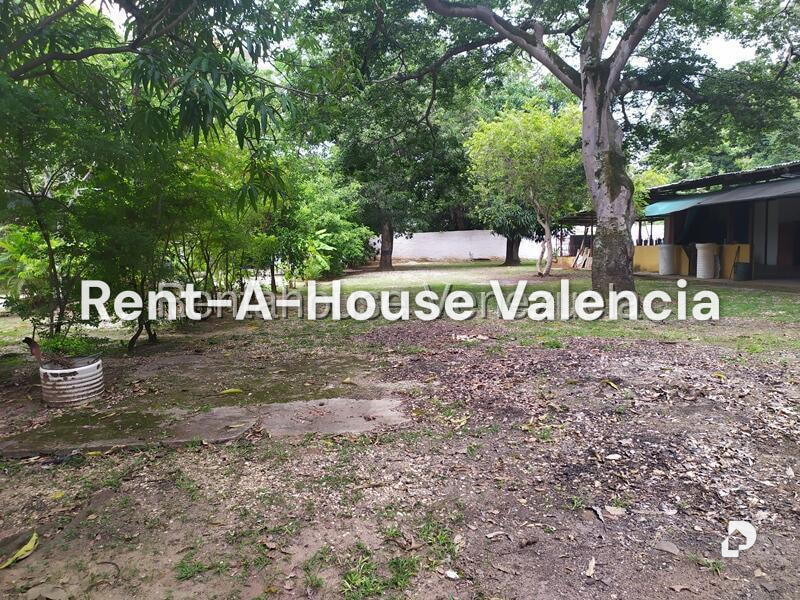 Land in Agua Blanca, Valencia – 17