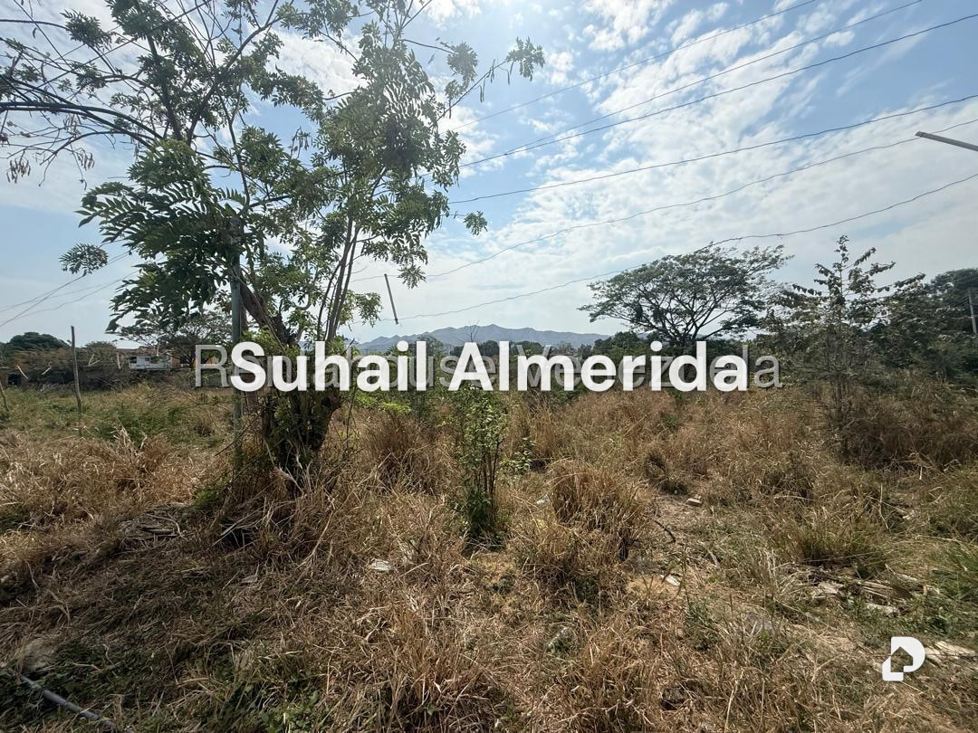 Terreno en Pueblo de San Diego, San Diego – 11