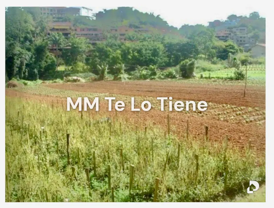 Terreno en La Unión, Caracas – 6