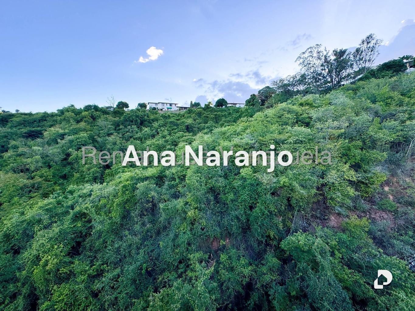 Apartamento en El Cafetal, Caracas – 64