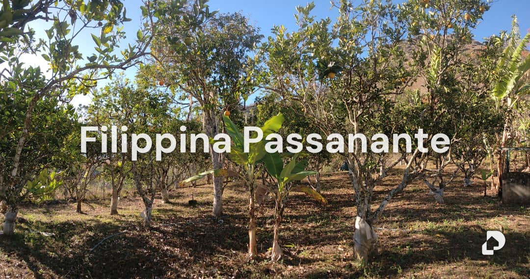Casa en La Placeta, Caripe – 15