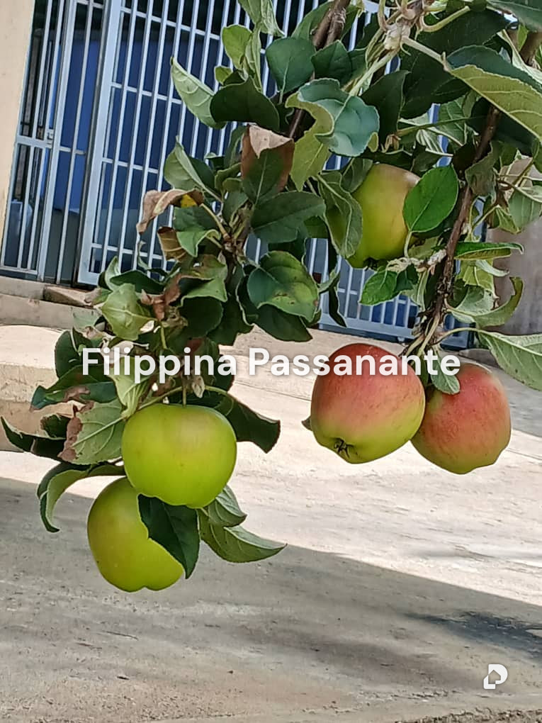 Casa en La Placeta, Caripe – 18