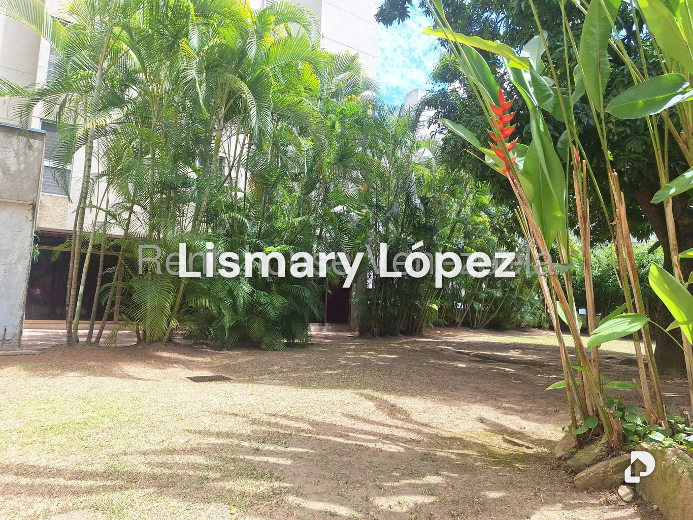 Apartamento en Los Palos Grandes, Caracas – 6