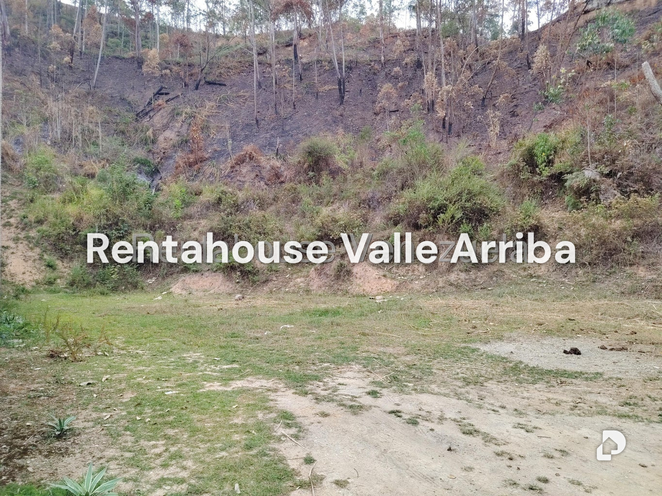 Terreno en Colinas de Carrizal, Carrizal – 5